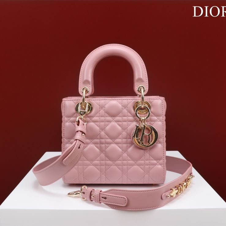 chr1st1an D10r my lady bags